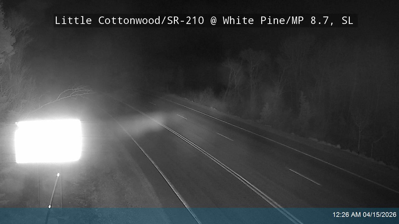 LCC Rd @ White Pine/ MP 8.7, SL
