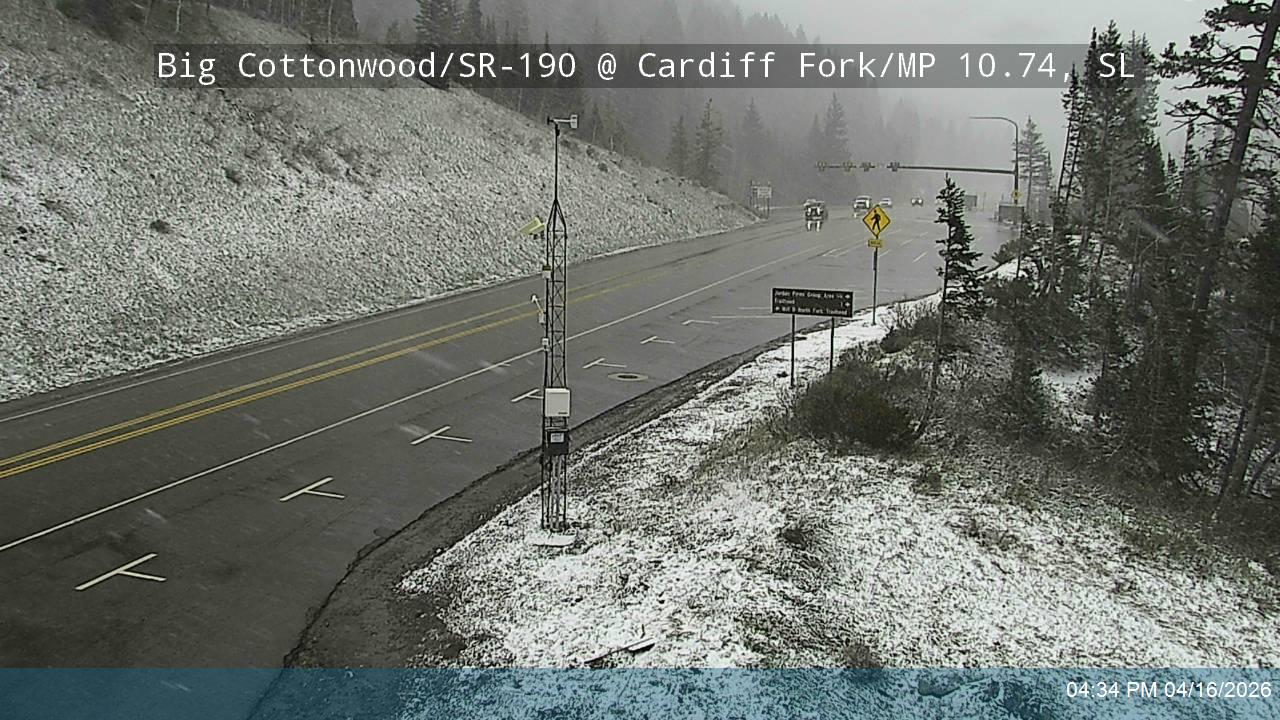 BCC Rd @ Cardiff Fork/ MP 10.74, SL