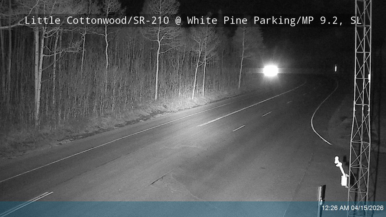 LCC Rd EB @ White Pine Parking/ MP 9.2, SL