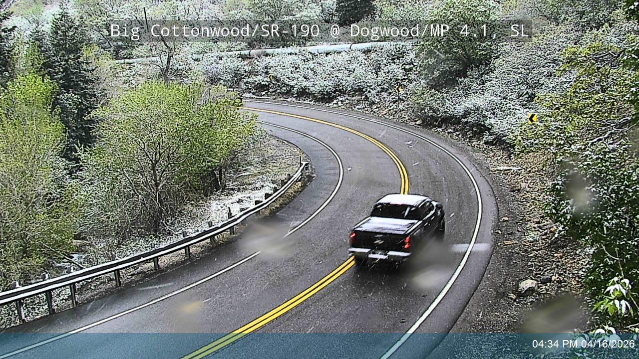 BCC Rd @ Dogwood/ MP 4.1, SL