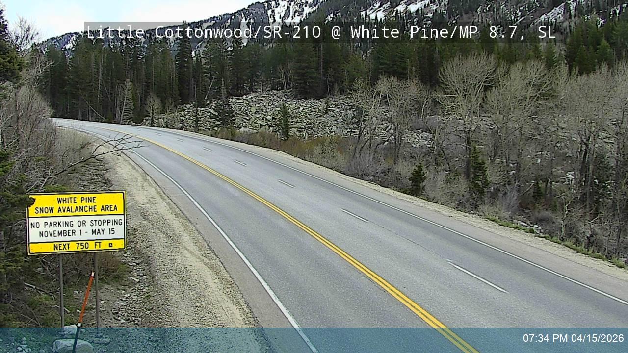 LCC Rd @ White Pine/ MP 8.7, SL