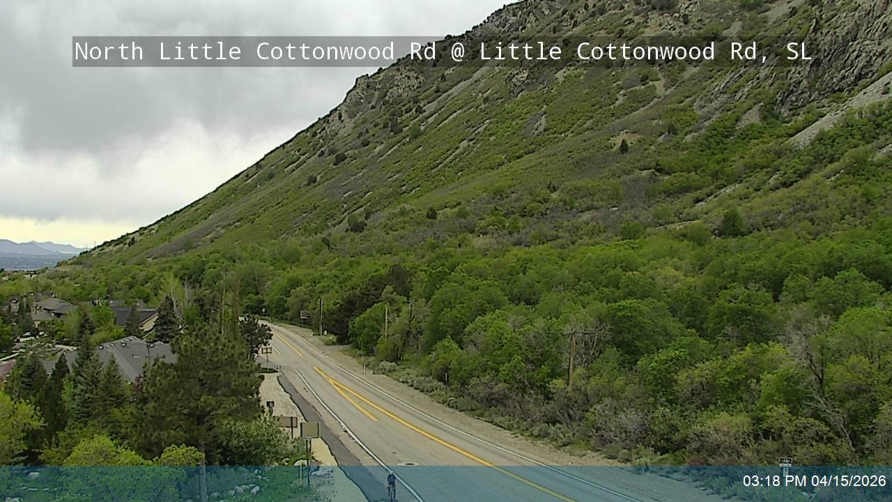 North LCC Rd @ LCC Rd / SR-209, SL