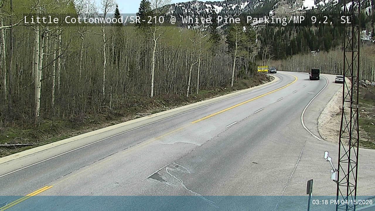 LCC Rd EB @ White Pine Parking/ MP 9.2, SL