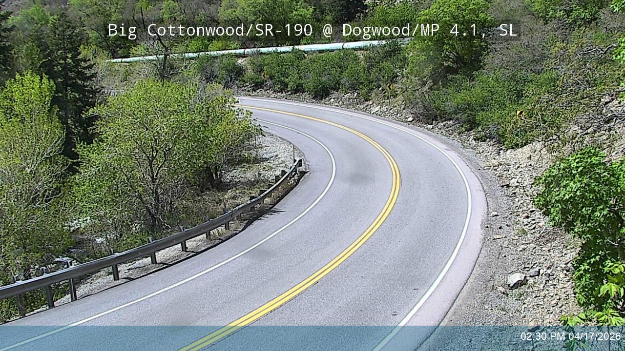 BCC Rd @ Dogwood/ MP 4.1, SL