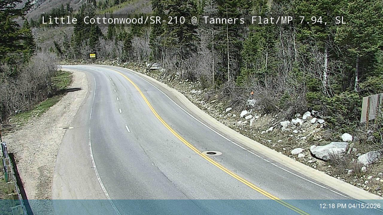 LCC Rd @ Tanners Flat/ MP 7.94, SL