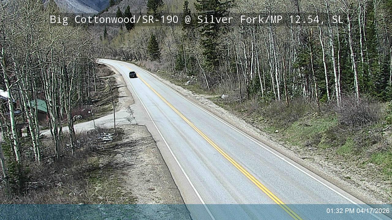 BCC Rd @ Silver Fork/ MP 12.54, SL