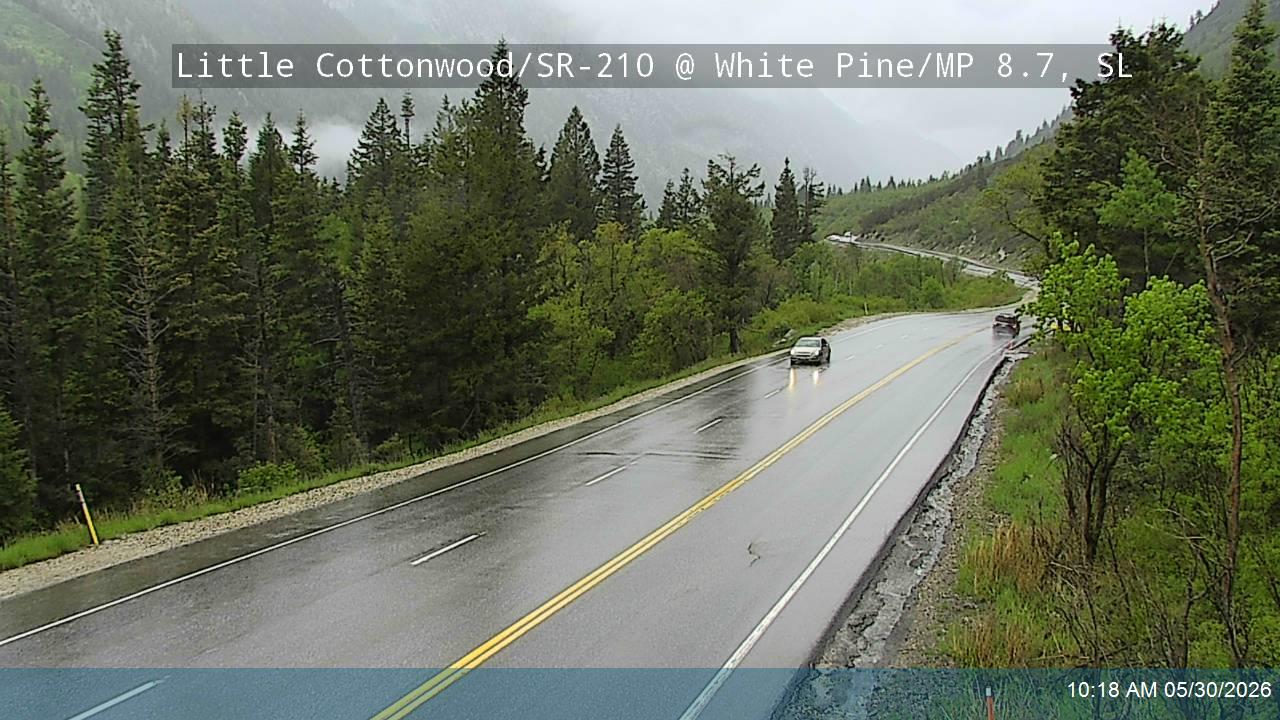 LCC Rd @ White Pine/ MP 8.7, SL