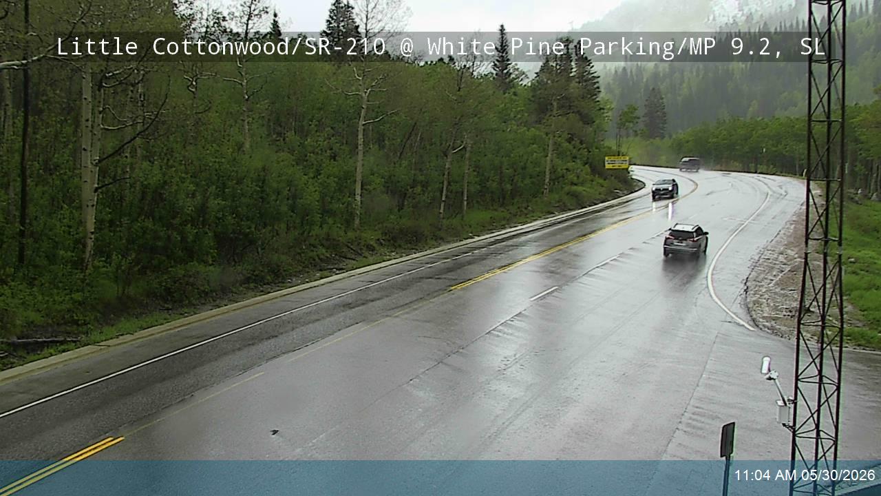 LCC Rd EB @ White Pine Parking/ MP 9.2, SL