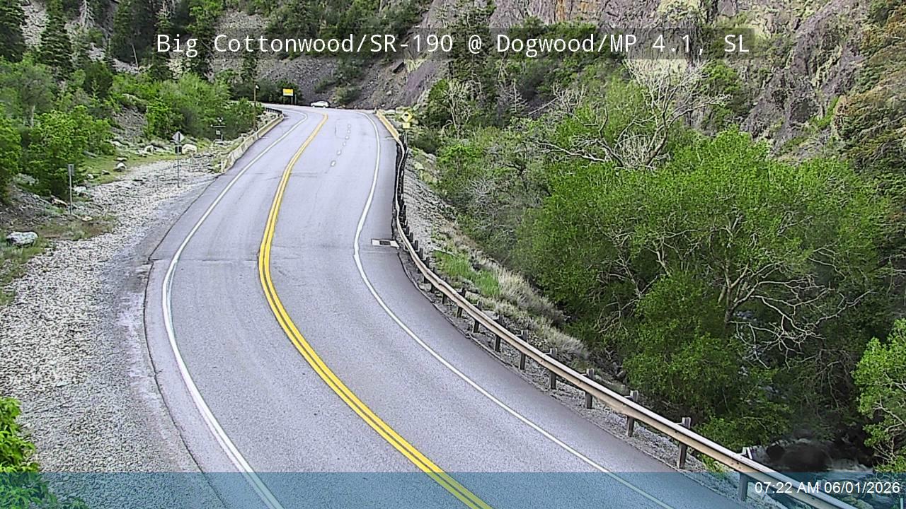 BCC Rd @ Dogwood/ MP 4.1, SL