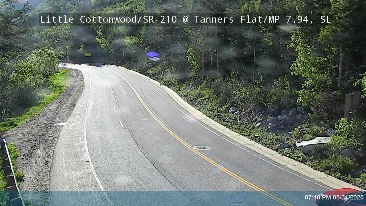 LCC Rd @ Tanners Flat/ MP 7.94, SL