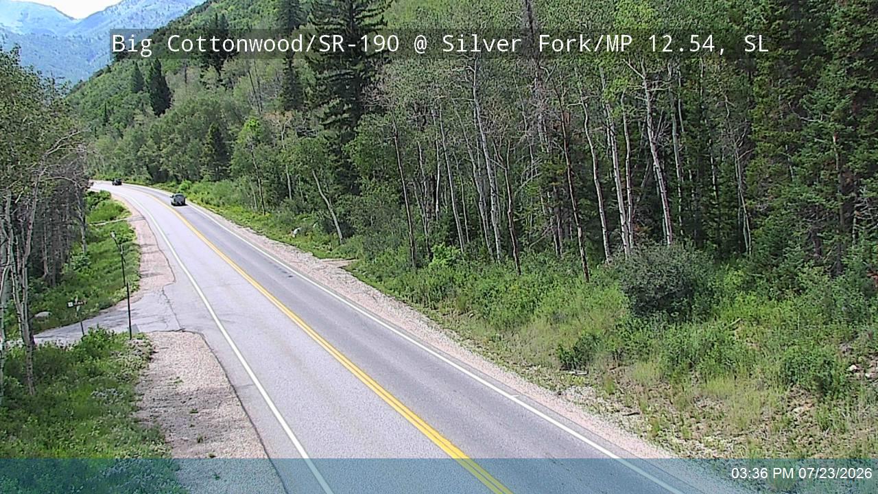 BCC Rd @ Silver Fork/ MP 12.54, SL