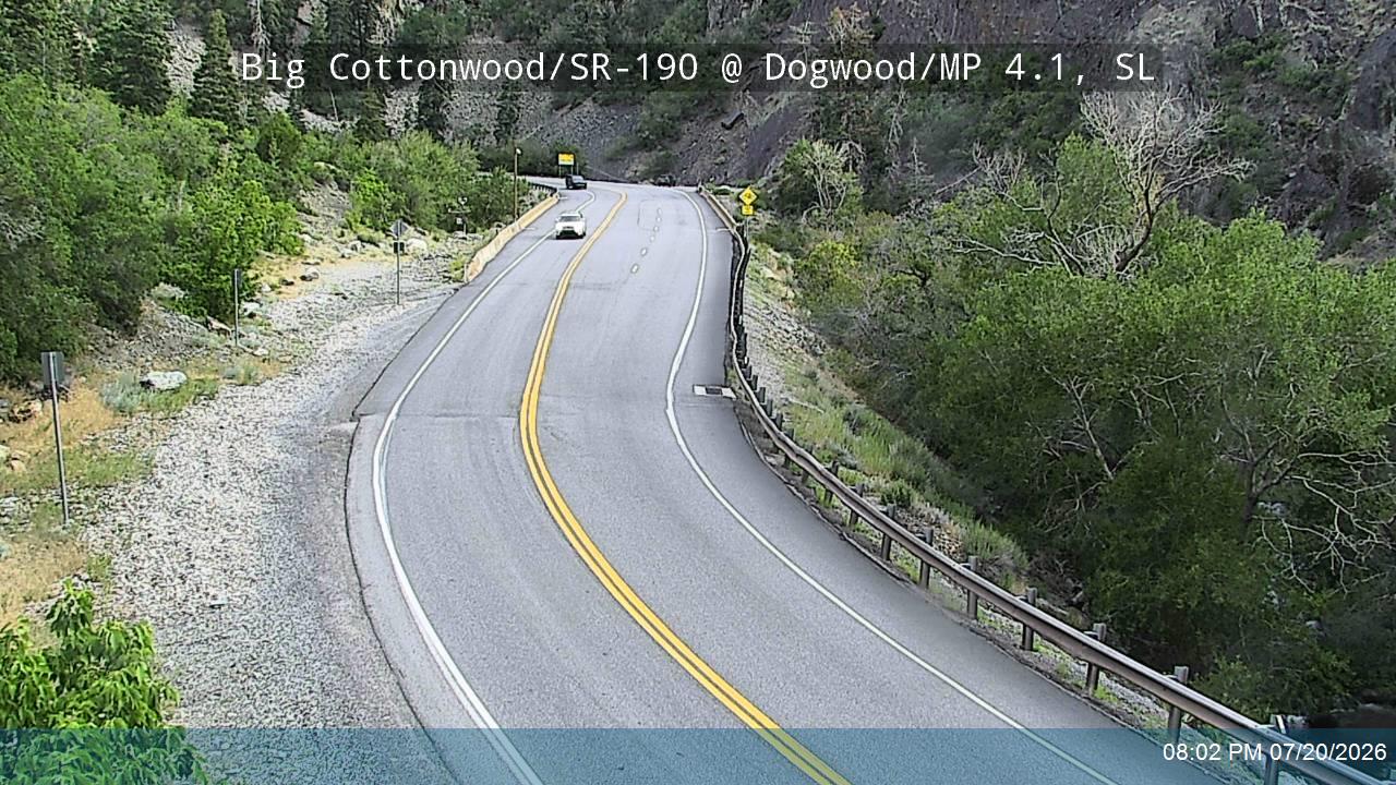 BCC Rd @ Dogwood/ MP 4.1, SL