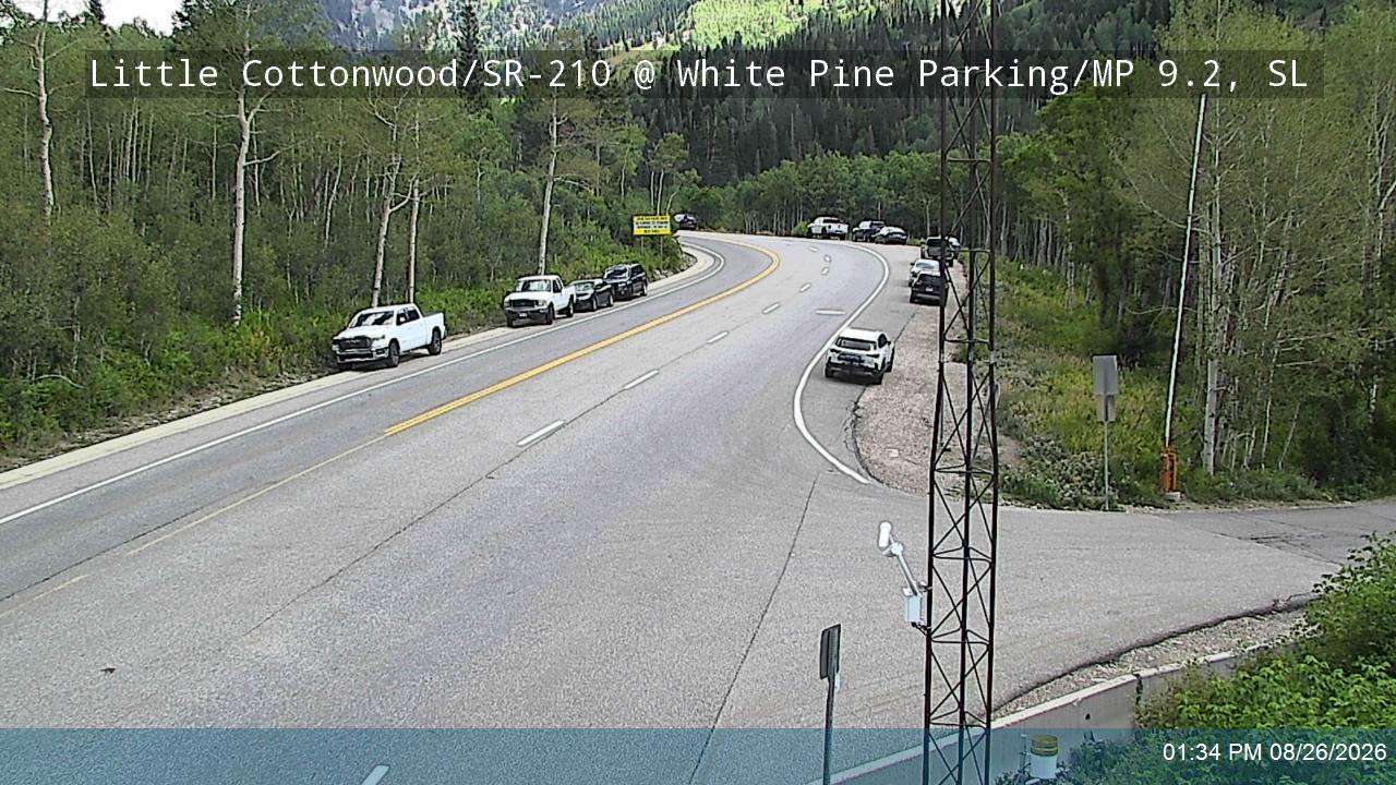 LCC Rd EB @ White Pine Parking/ MP 9.2, SL