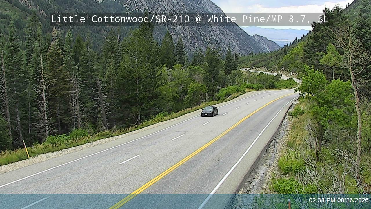 LCC Rd @ White Pine/ MP 8.7, SL