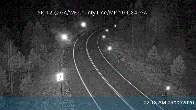 SR-12 @ GA/WE County Line / MP 109.84, GA