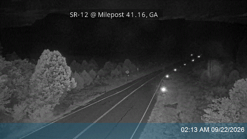 SR-12 @ Milepost 41.16, GA