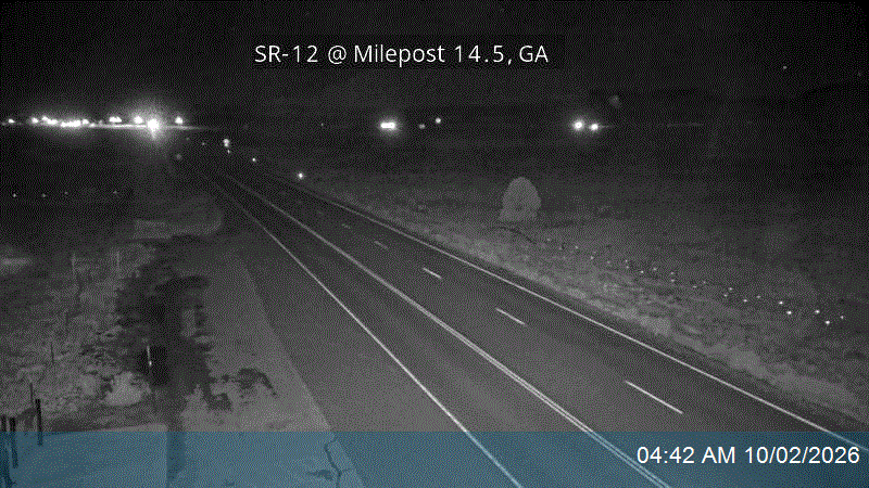 SR-12 @ Milepost 14.5, GA