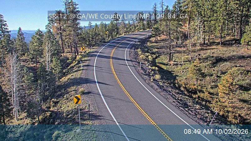 SR-12 @ GA/WE County Line / MP 109.84, GA