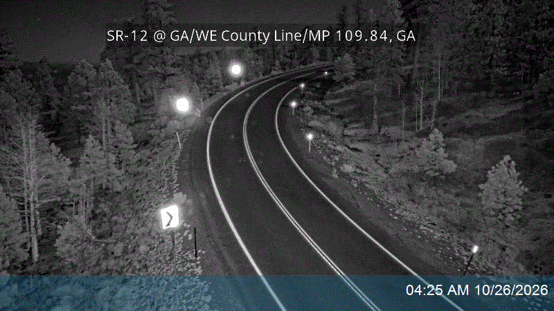 SR-12 @ GA/WE County Line / MP 109.84, GA