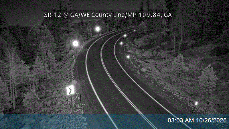 SR-12 @ GA/WE County Line / MP 109.84, GA