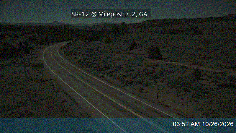 SR-12 @ Milepost 7.25, GA