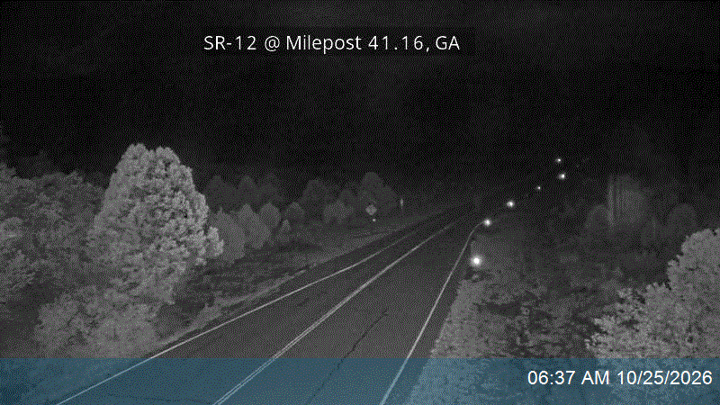 SR-12 @ Milepost 41.16, GA