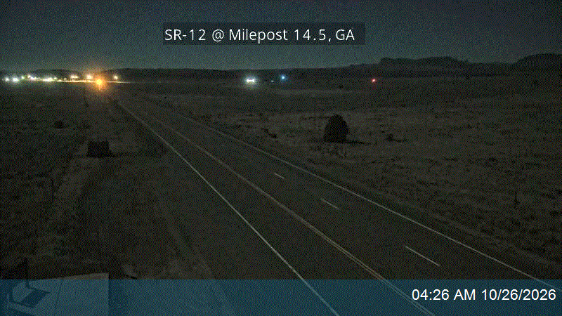 SR-12 @ Milepost 14.5, GA