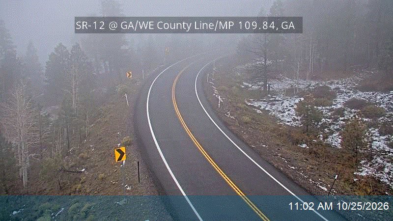SR-12 @ GA/WE County Line / MP 109.84, GA