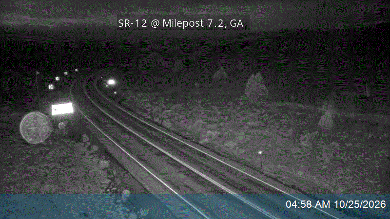 SR-12 @ Milepost 7.25, GA