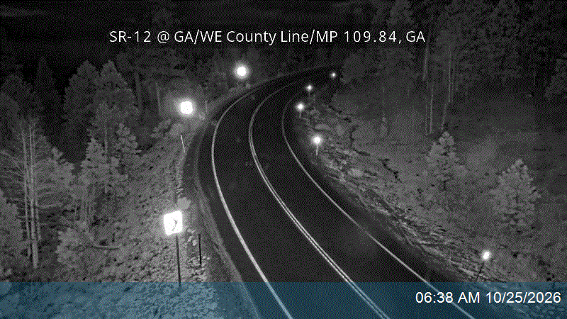 SR-12 @ GA/WE County Line / MP 109.84, GA