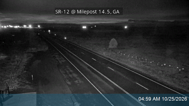 SR-12 @ Milepost 14.5, GA