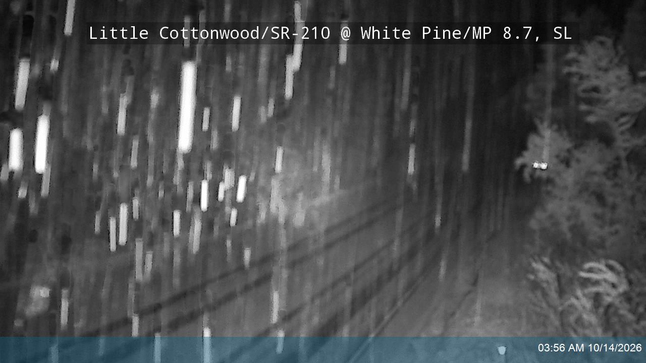 LCC Rd @ White Pine/ MP 8.7, SL