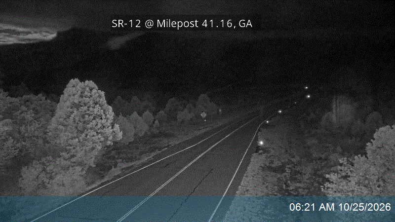 SR-12 @ Milepost 41.16, GA