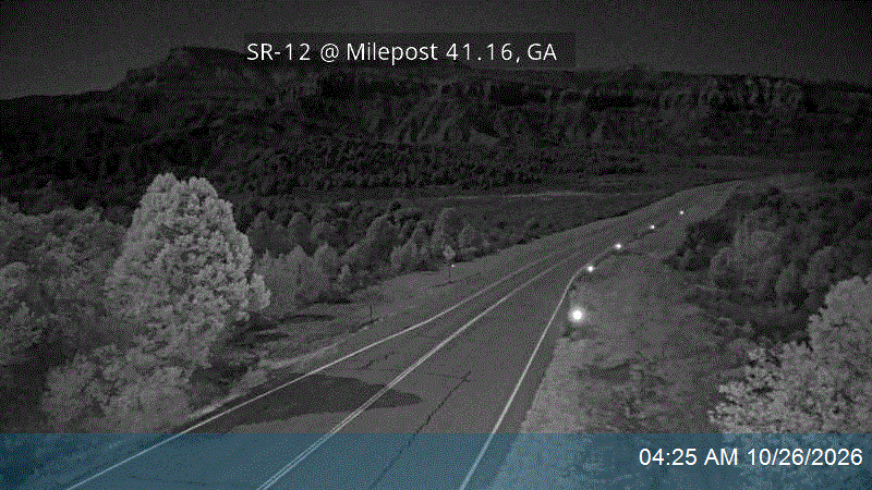 SR-12 @ Milepost 41.16, GA