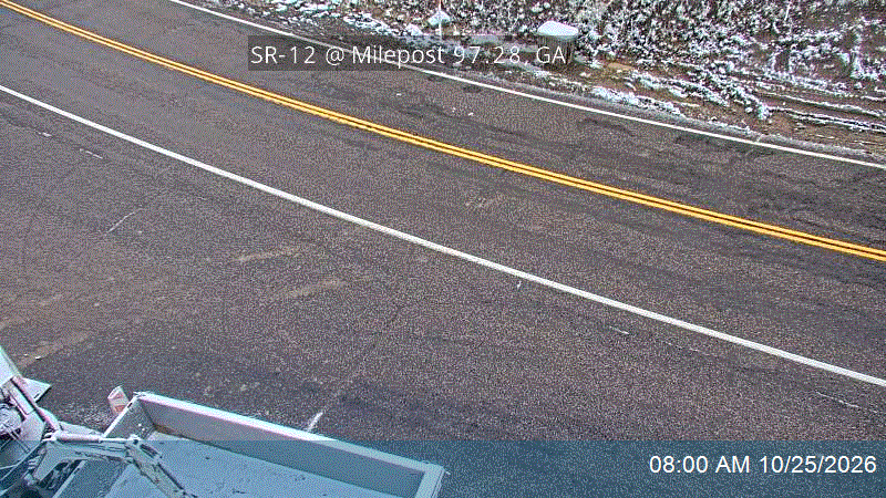 SR-12 @ Milepost 97.28, GA