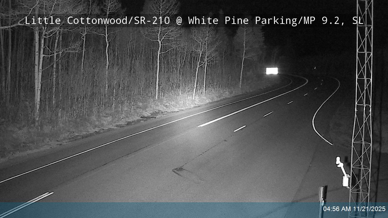 LCC Rd EB @ White Pine Parking/ MP 9.2, SL