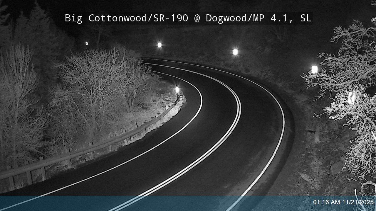 BCC Rd @ Dogwood/ MP 4.1, SL