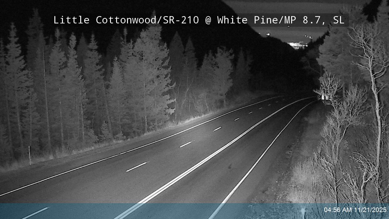 LCC Rd @ White Pine/ MP 8.7, SL