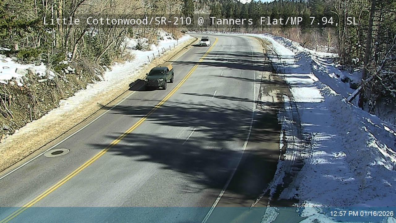 LCC Rd @ Tanners Flat/ MP 7.94, SL