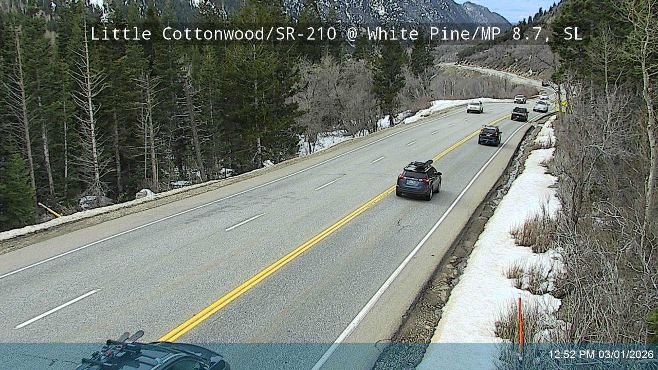 LCC Rd @ White Pine/ MP 8.7, SL